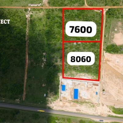 For Sale: Two Plots of Land in Pongwe City Tanga