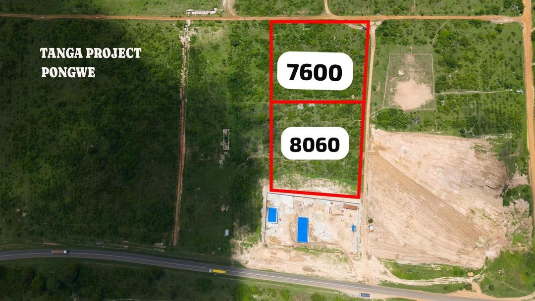 For Sale: Two Plots of Land in Pongwe City Tanga