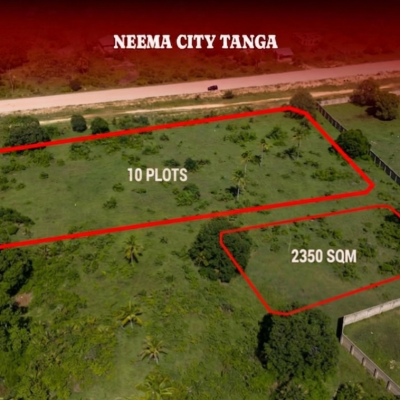 For Sale: Two Commercial Plots in Neema City, Tanga Region