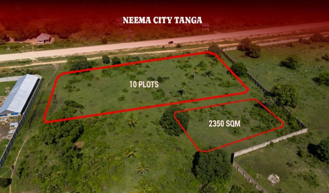 For Sale: Two Commercial Plots in Neema City, Tanga Region
